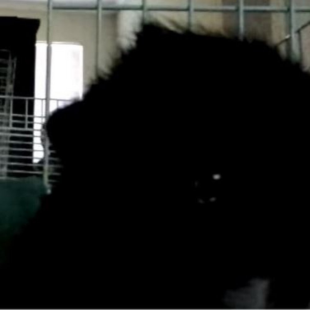 Meet your Posher, Nova